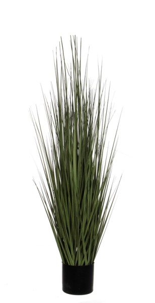 Ornamental Grass 122cm green   VB 431534