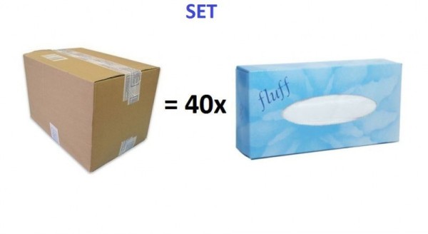 Set - Karton mit 40 Packungen Kosmetiktuecher Fluff - 40x 100 Blatt   99908