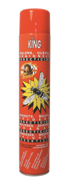 Spray Insektizid King Hornissen Wespen Insektenvernichter 750 ml extrem Leistung A02120